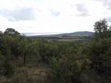 eladó tanya / mg. terület - Balatoncsicsó
